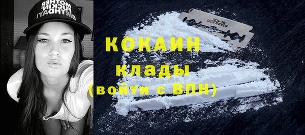 прущая мука Богородицк