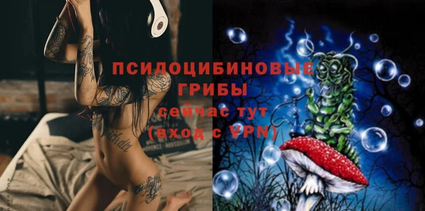 мескалин Богданович