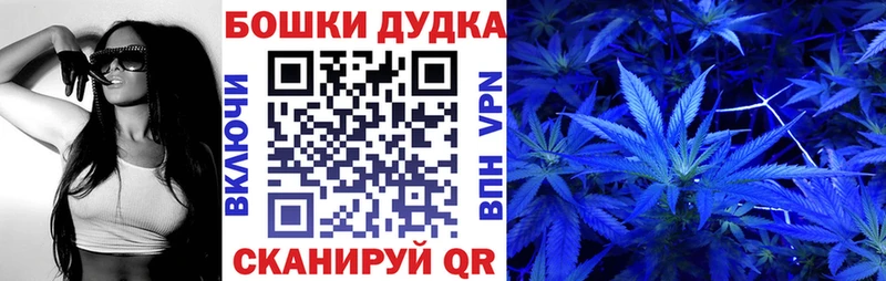 где можно купить   Навашино  Каннабис ГИДРОПОН 